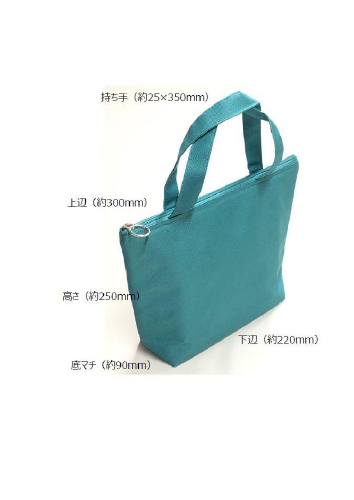 ラジカット内用懸濁液2.1％保冷バッグ（その他）